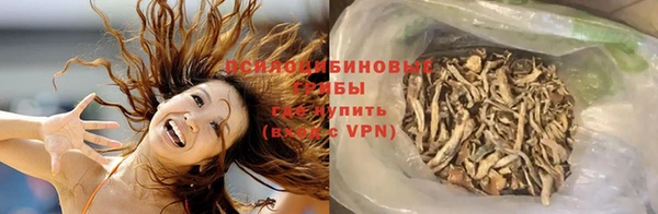 прущие грибы Лиски