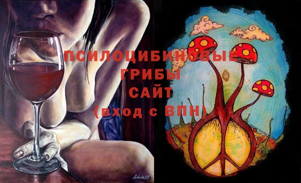 соль ск Лихославль