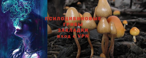 прущие грибы Лиски