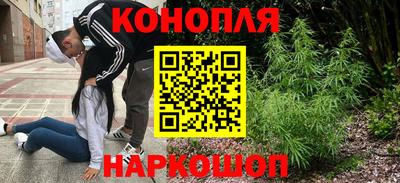 mdpv Бийск