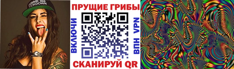 Псилоцибиновые грибы Magic Shrooms  Владимир 