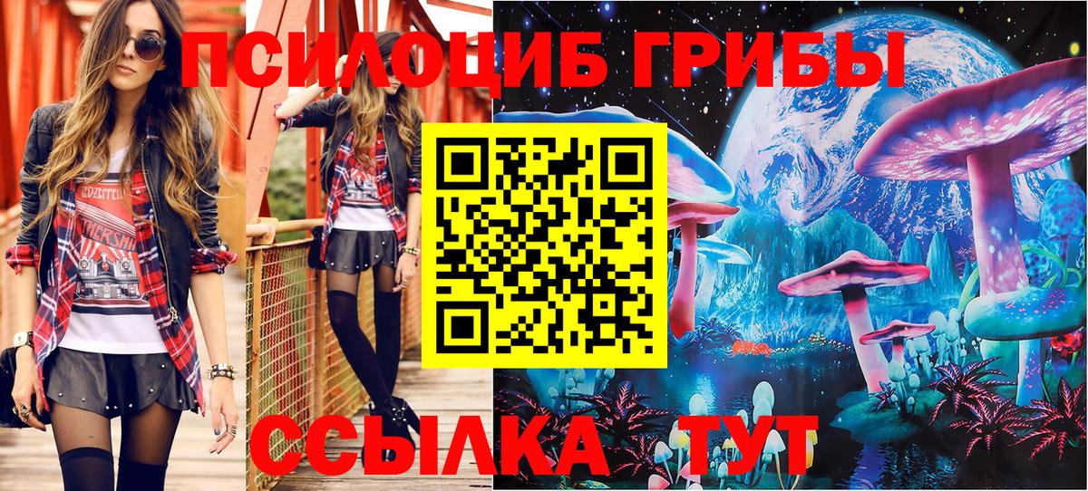 Галлюциногенные грибы Magic Shrooms  Владимир 