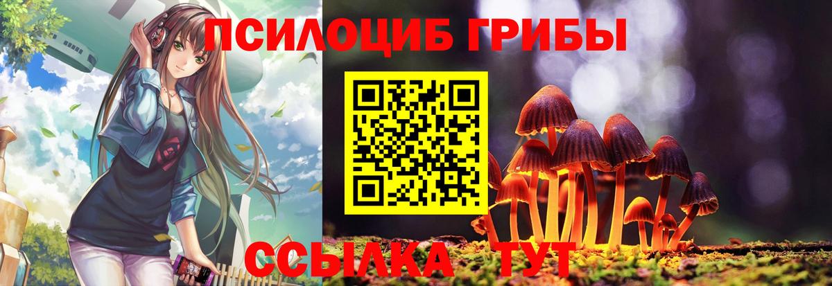 Галлюциногенные грибы мухоморы  Галлюциногенные грибы Cubensis  Владимир  Вход с VPN 